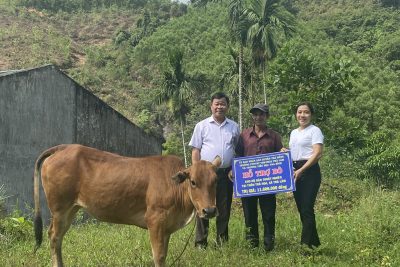 Ngày 27/4/2023 Trường tiểu học Trà Bình phối hợp với trường PTDTBT TH và THCS Trà Lâm trao tặng cho hộ gia đình ông Hồ Văn Nhanh thuộc diện hộ nghèo ở tổ 3 -thôn Trà Hoa – xã Trà Lâm 01 con bò để phát triển kinh tế.
